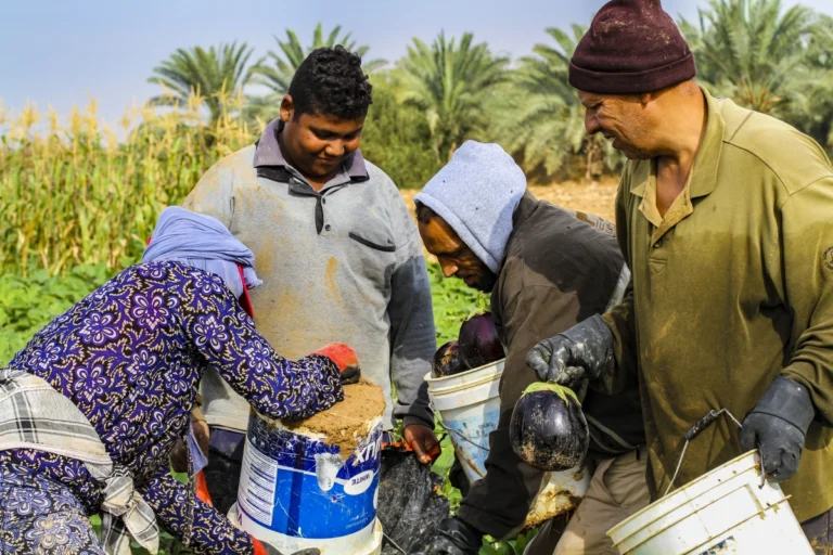 From Desert Diesel Tank to Fertile Market Garden