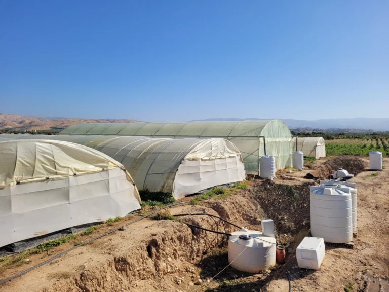 Innovation in the Jordan Valley