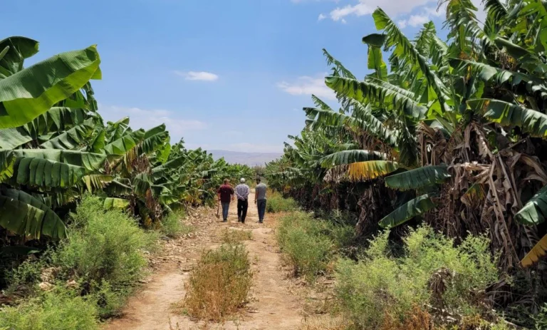 Young Farmers, New Possibilities
