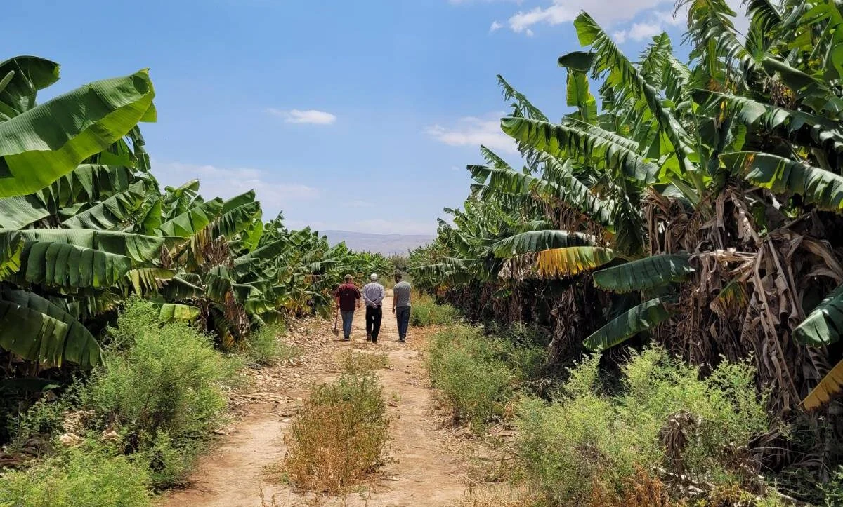 Young Farmers, New Possibilities