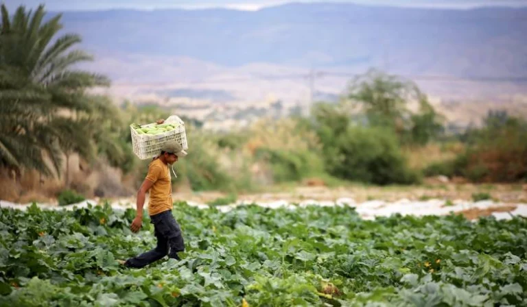 Sustainable Agriculture